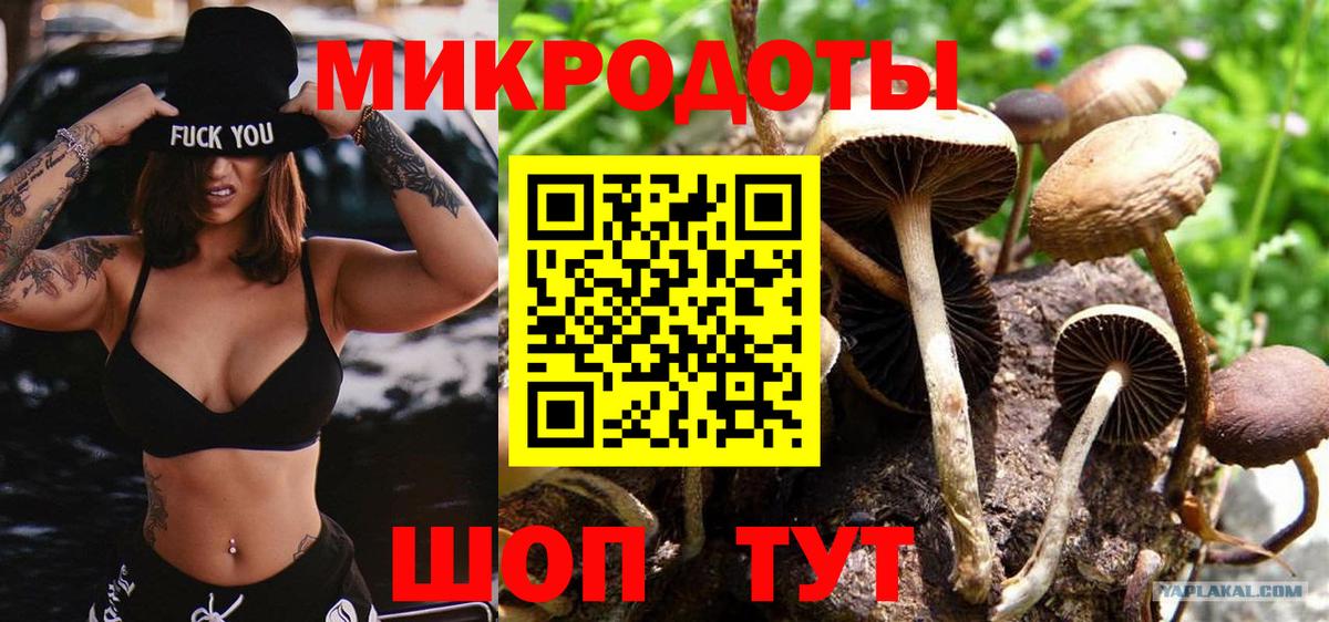 Псилоцибиновые грибы GOLDEN TEACHER Орёл